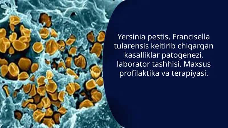 Yersinia pestis va Francisella tularensis