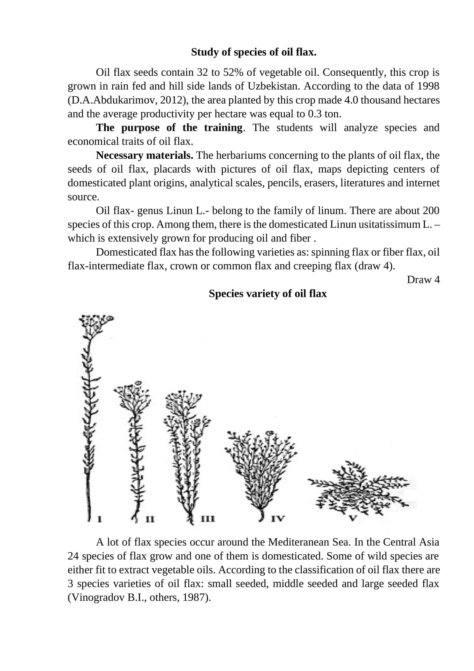 Oil flax