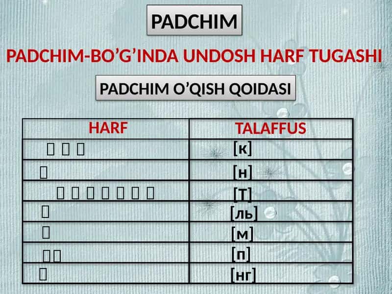 PADCHIM