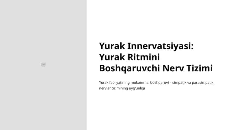 Yurak Innervatsiyasi: Yurak Ritmini Boshqaruvchi Nerv Tizimi