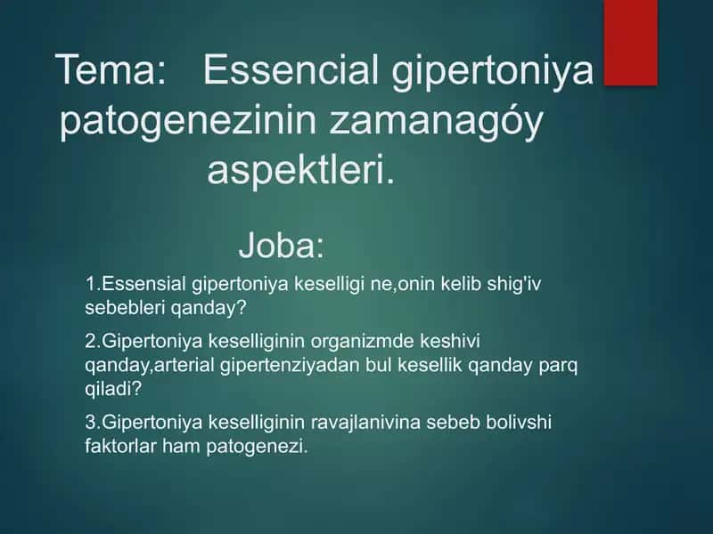 Essencial gipertoniya patogenezi