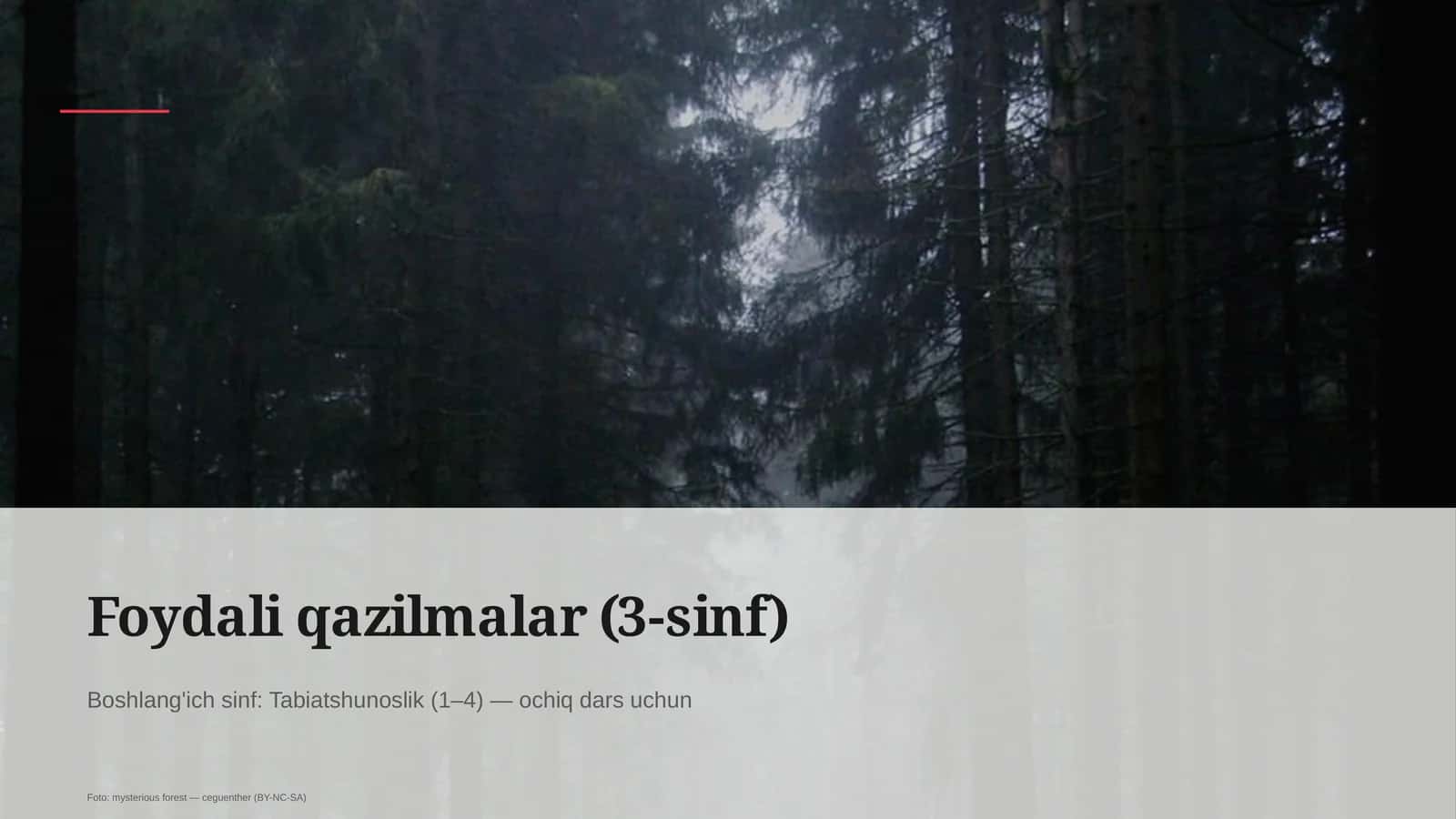 Foydali qazilmalar (3-sinf)