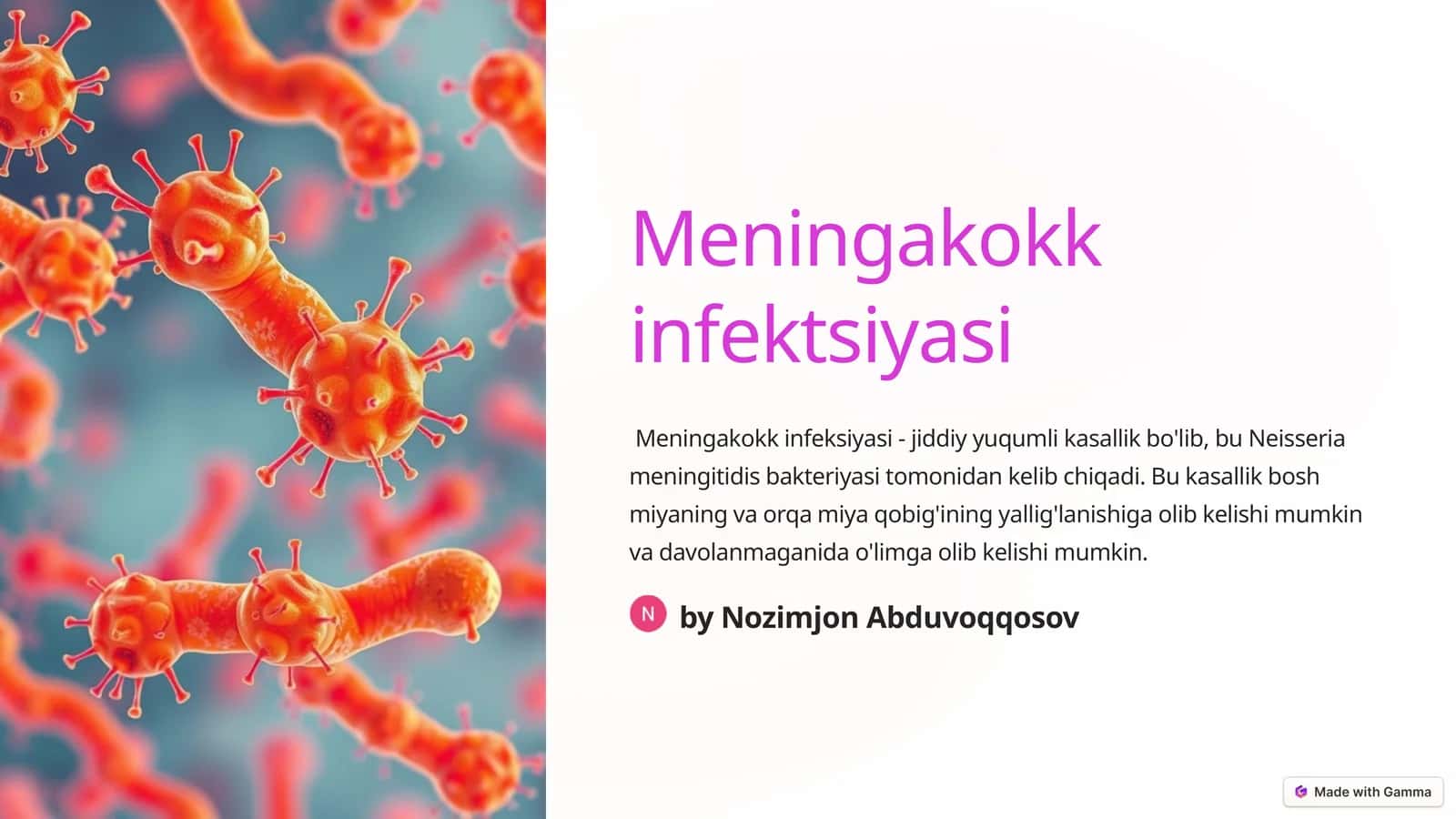 Meningakokk infektsiyasi