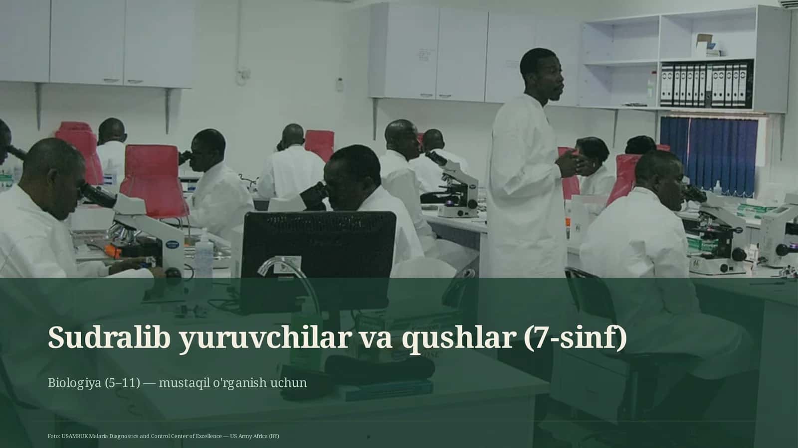 Sudralib yuruvchilar va qushlar (7-sinf)