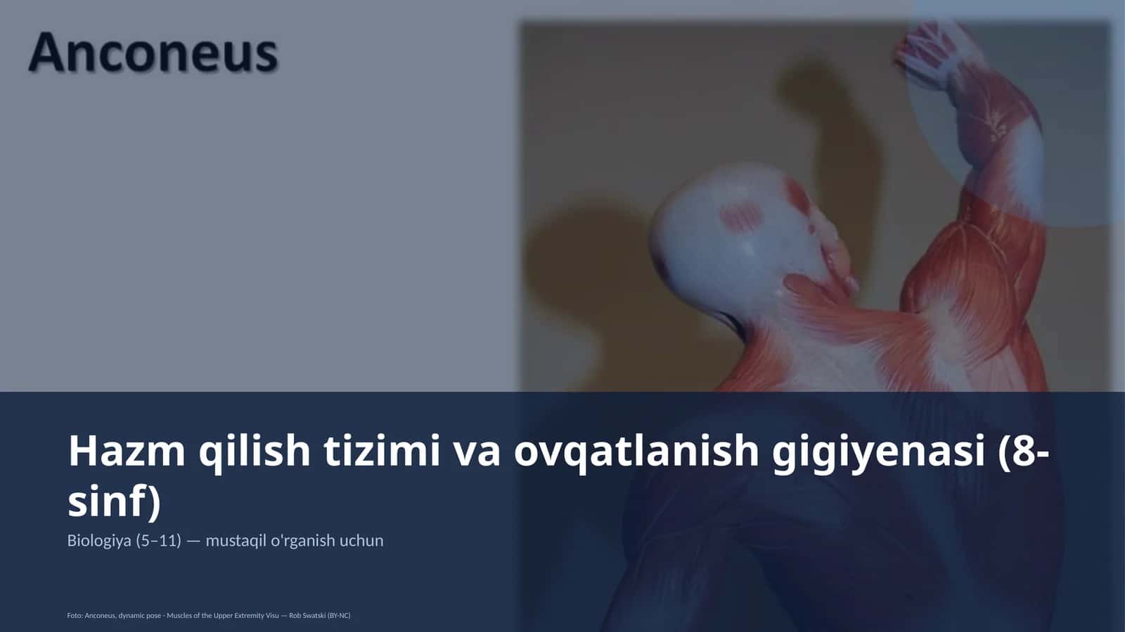 Hazm qilish tizimi va ovqatlanish gigiyenasi (8-sinf)