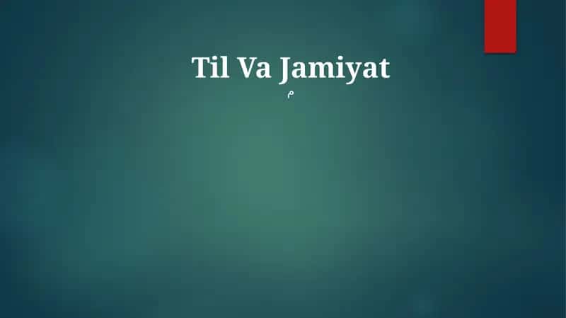 Ijtimoiy lingvistika