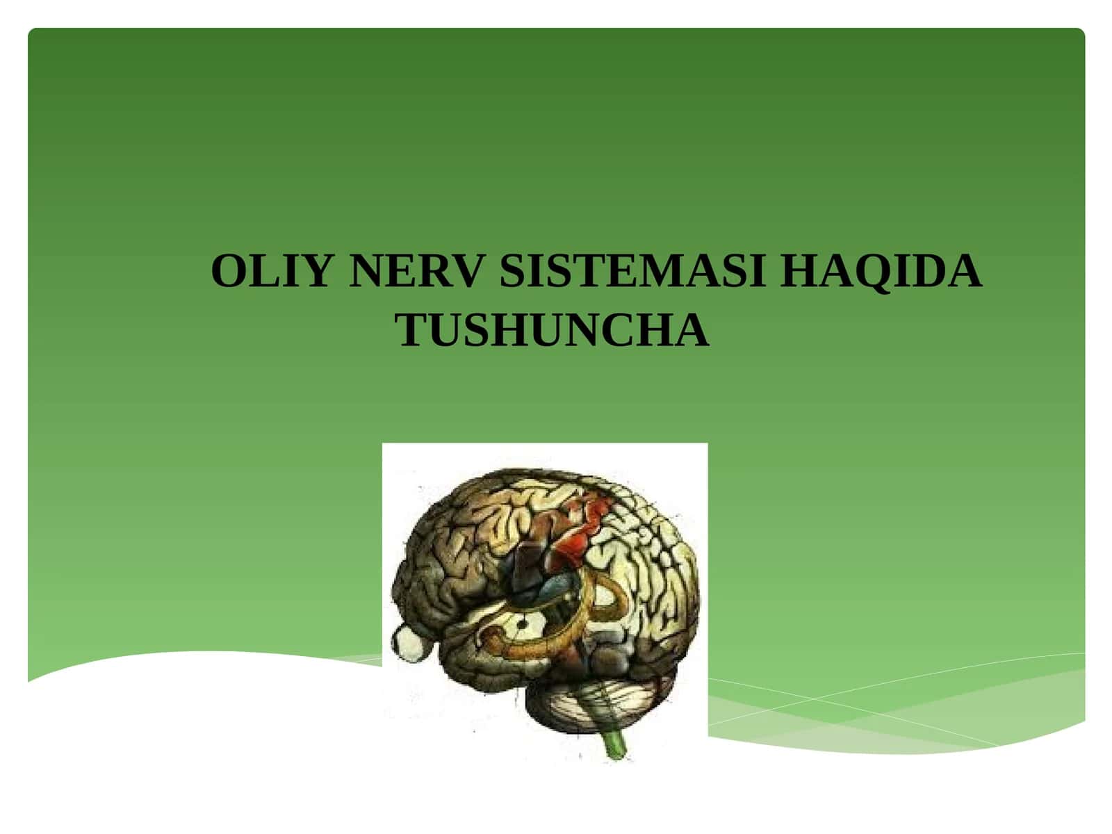 ОLIY NERV SISTEMASI HAQIDA TUSHUNCHA