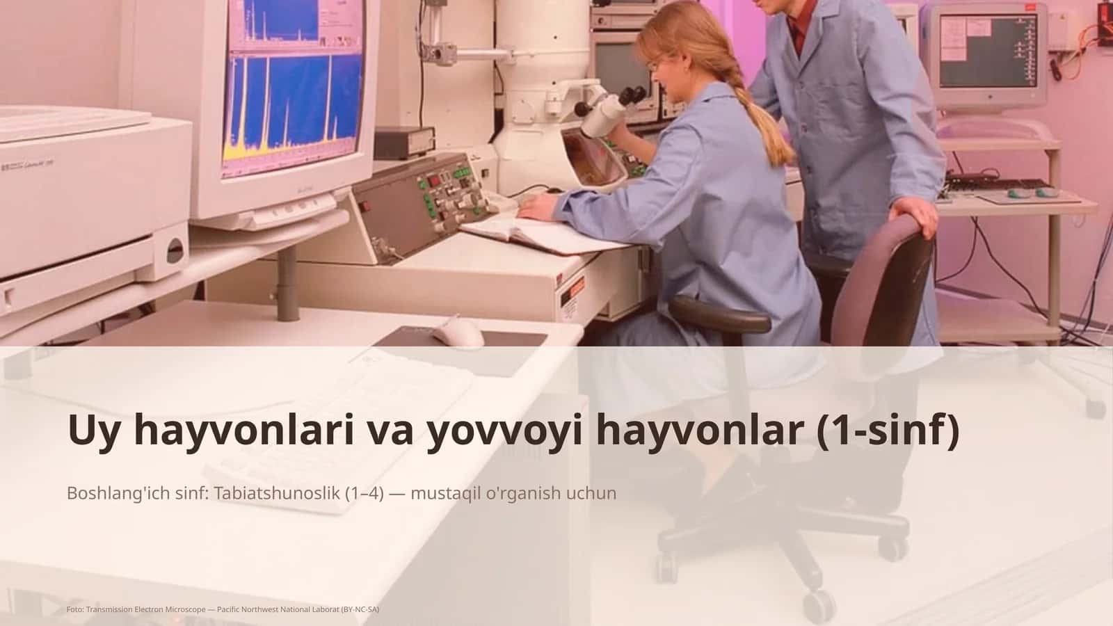 Uy hayvonlari va yovvoyi hayvonlar (1-sinf)