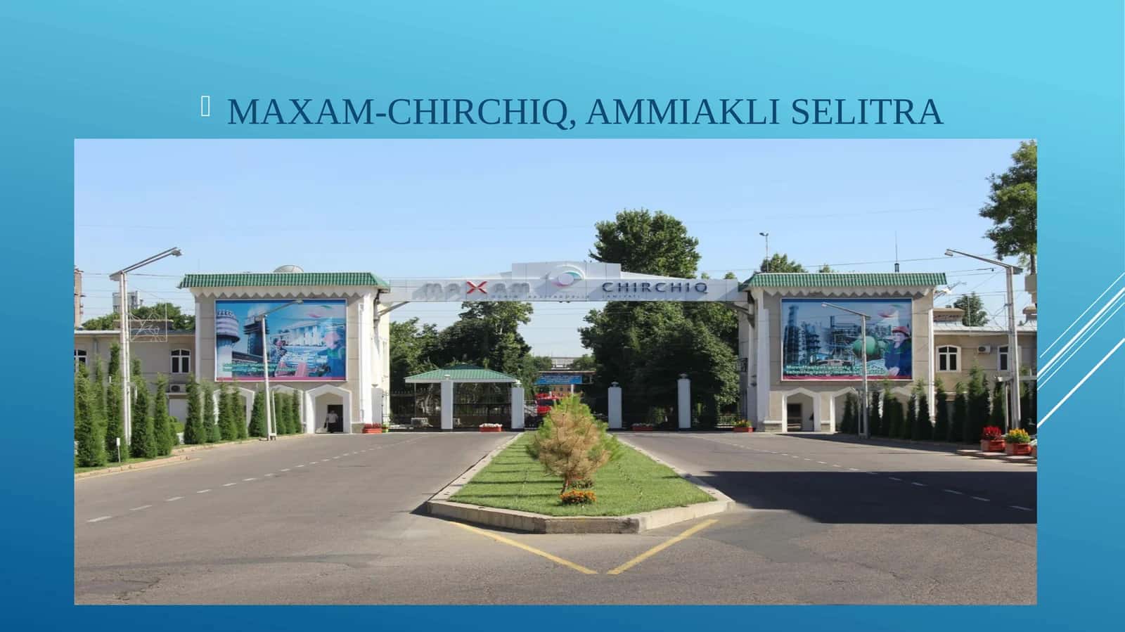 MAXAM-CHIRCHIQ, AMMIAKLI SELITRA