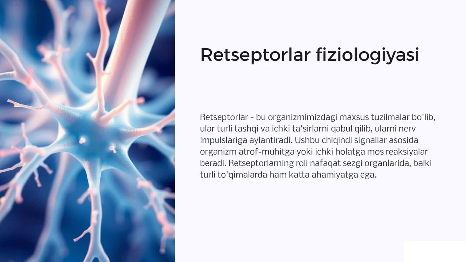 Retseptorlar fiziologiyasi