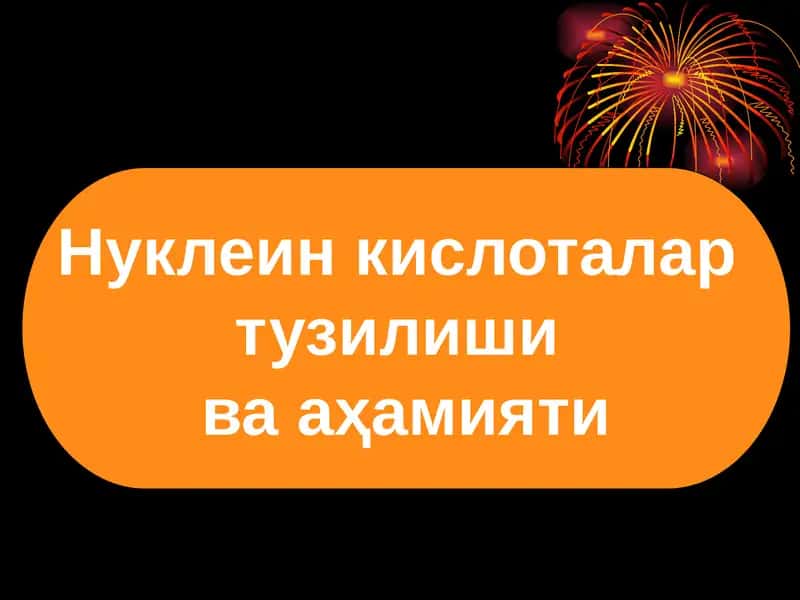 Нуклеин кислоталар тузилиши ва аҳамияти