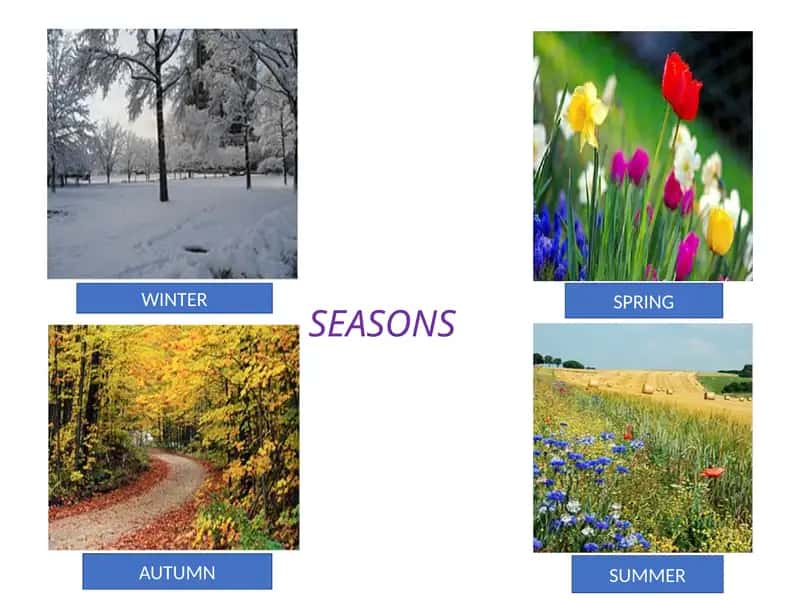 SEASONS