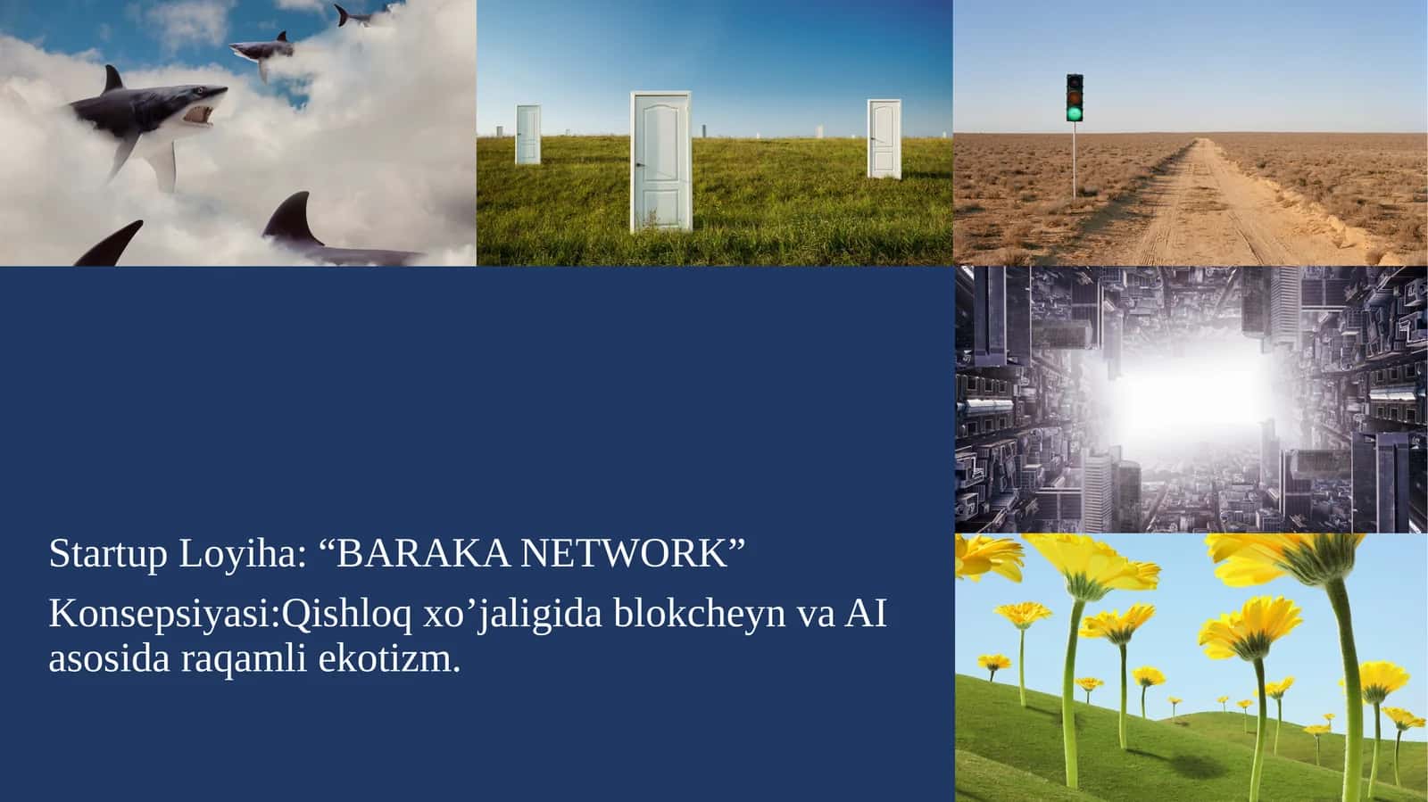 Startup Loyiha: “BARAKA NETWORK”