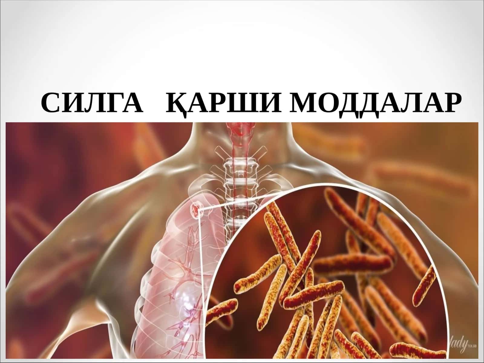 СИЛГА ҚАРШИ МОДДАЛАР