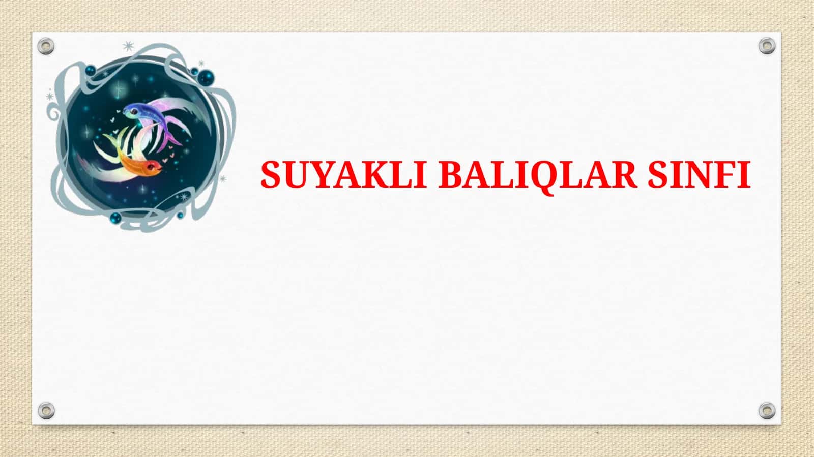 TOG’AYLIBALIQLARSINFI