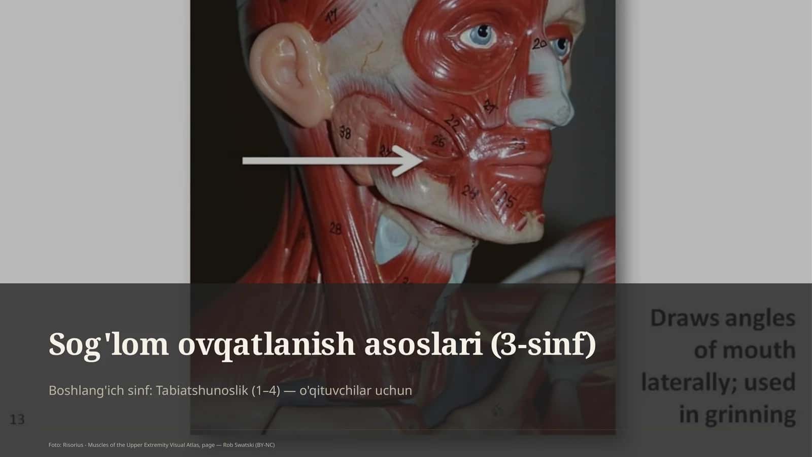 Sog'lom ovqatlanish asoslari (3-sinf)