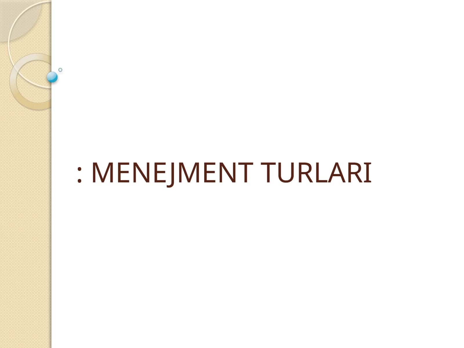 MENEJMENT TURLARI