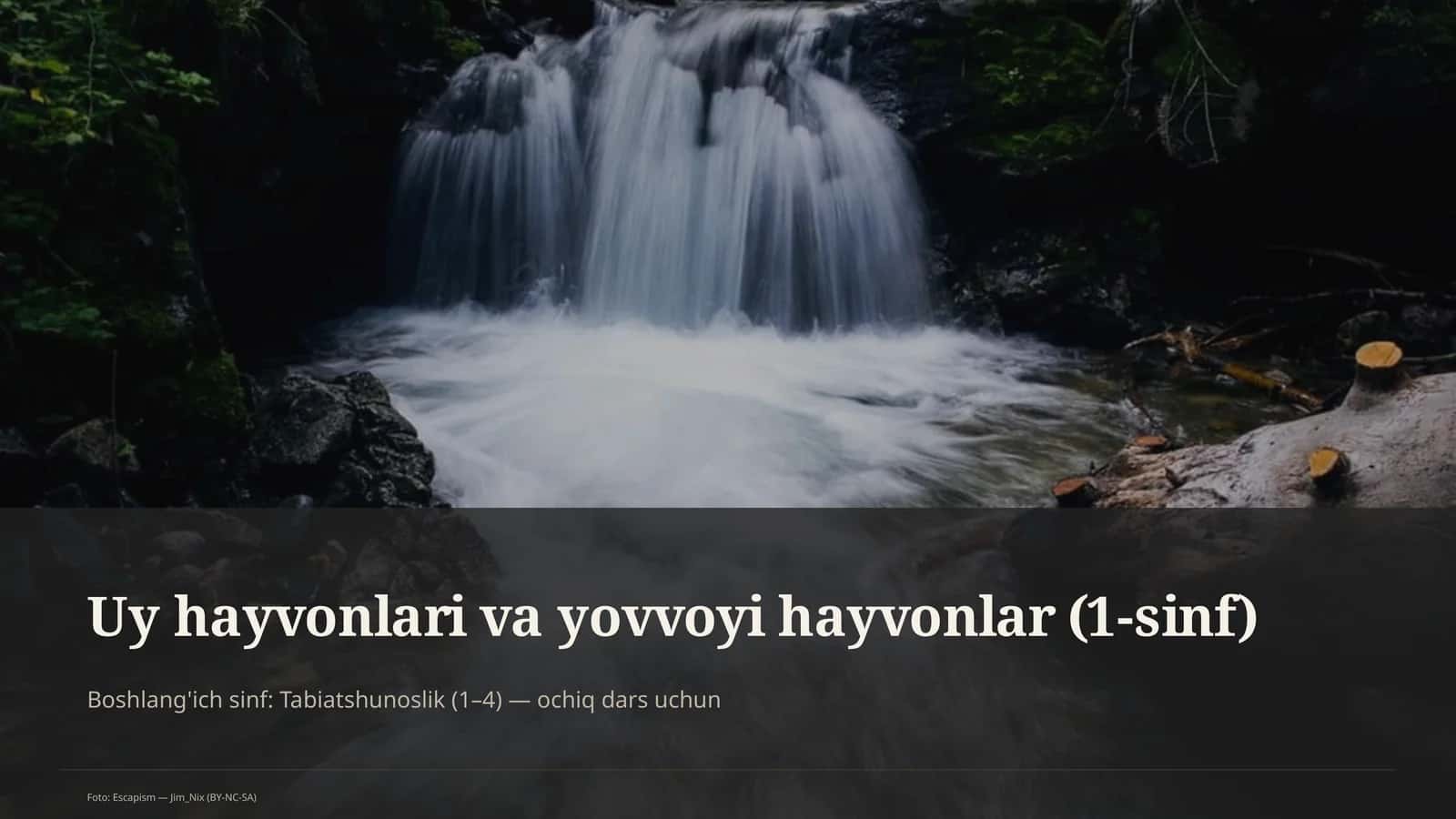 Uy hayvonlari va yovvoyi hayvonlar (1-sinf)
