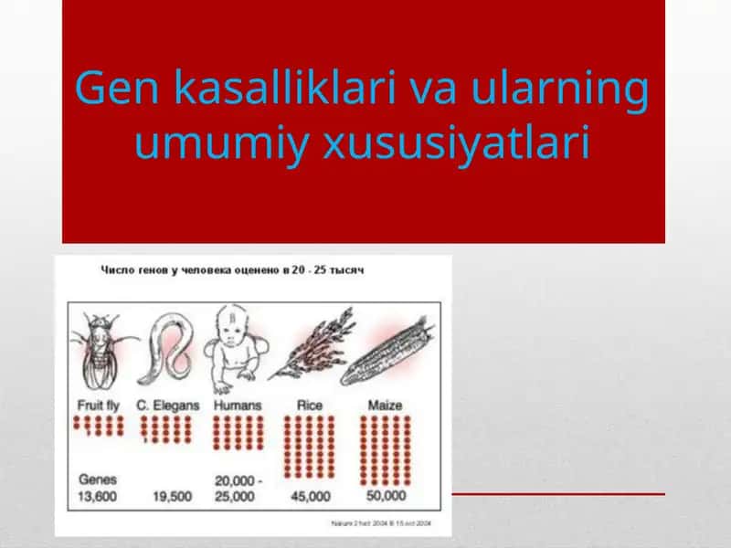 Gen kasalliklari va ularning umumiy xususiyatlari
