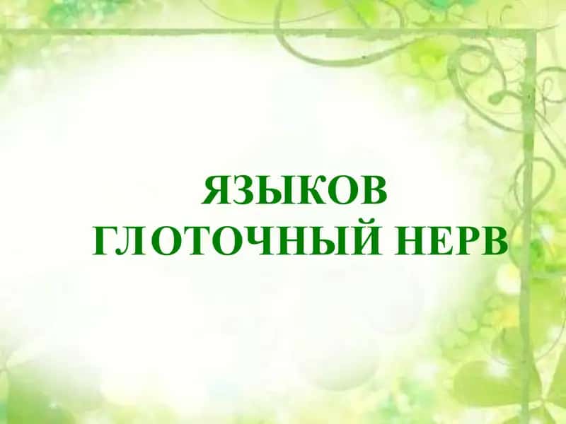 Языкоглоточный нерв