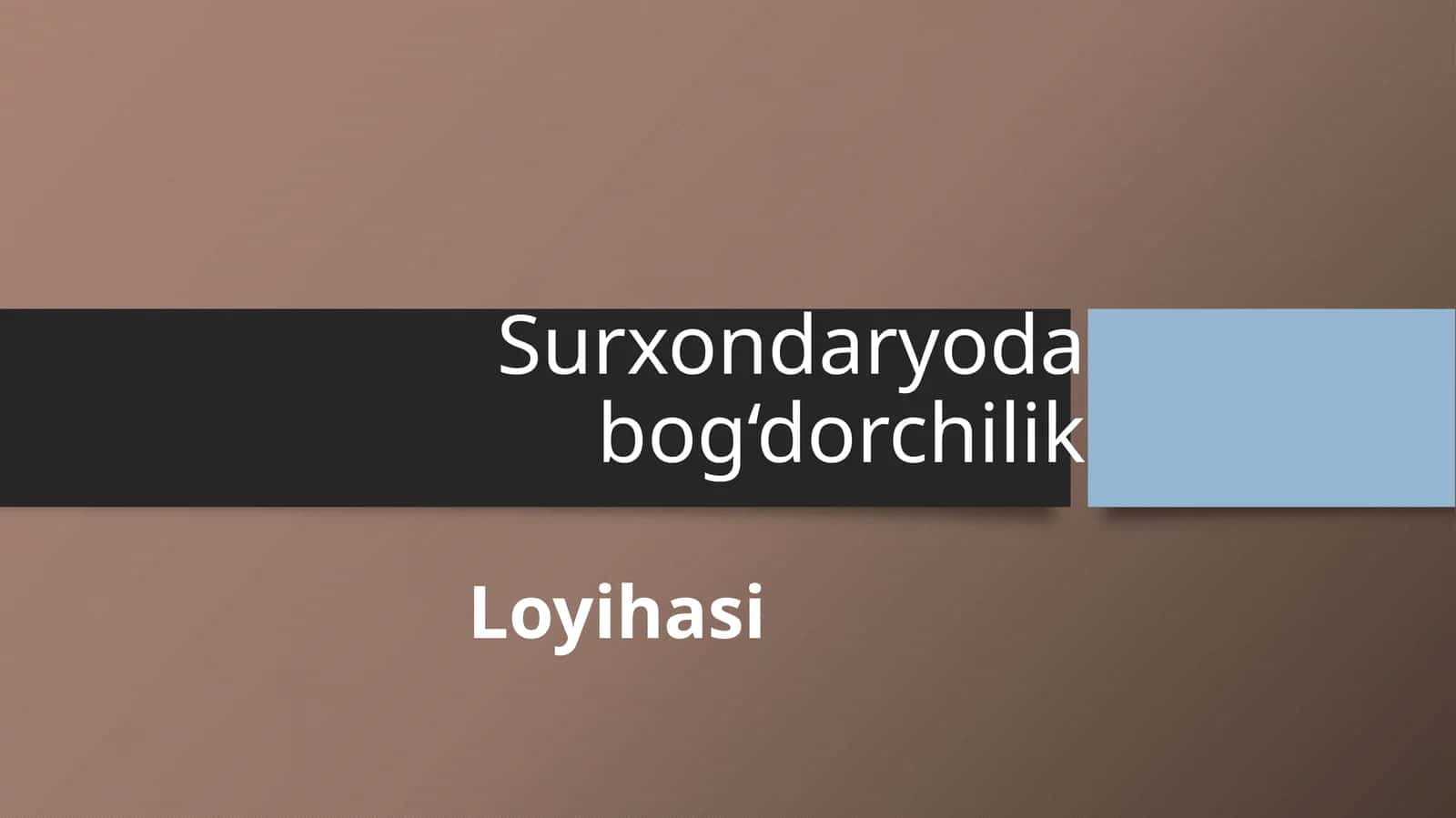 (100 millionlik loyiha ishi) Surxondaryoda bog‘dorchilik Loyihasi