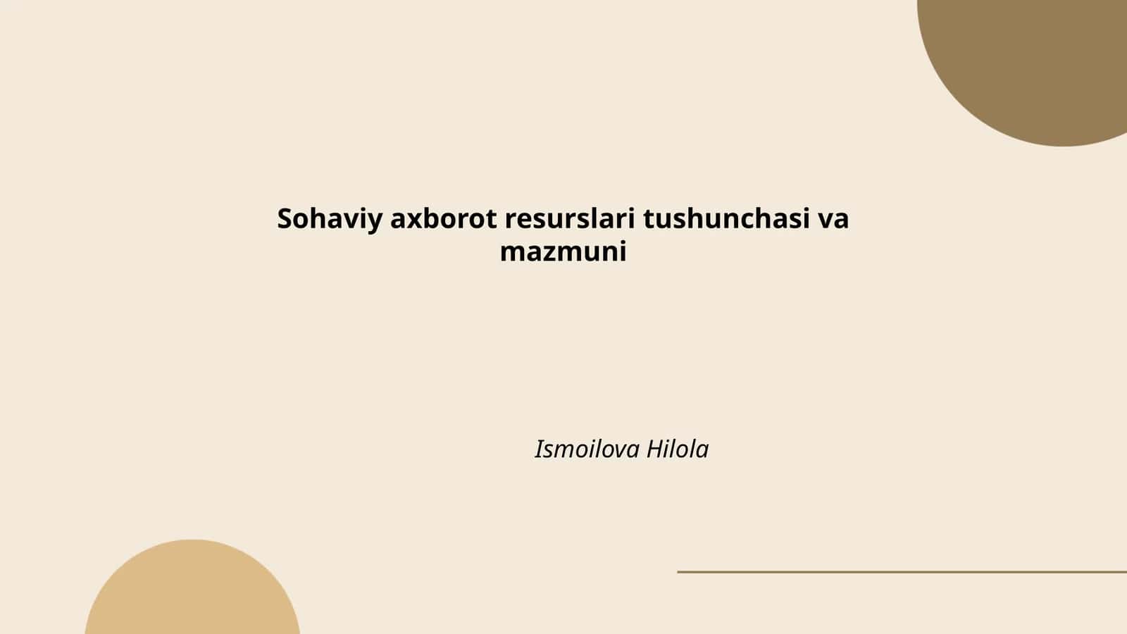 Sohaviy axborot resurslari tushunchasi va mazmuni
