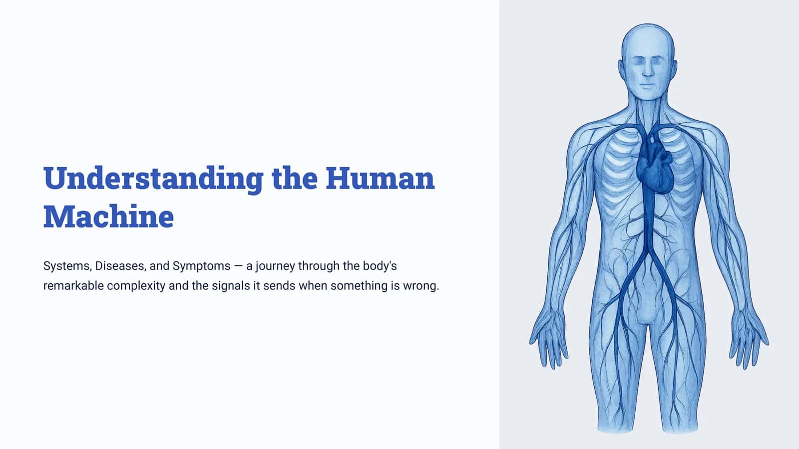 The Interconnected Body