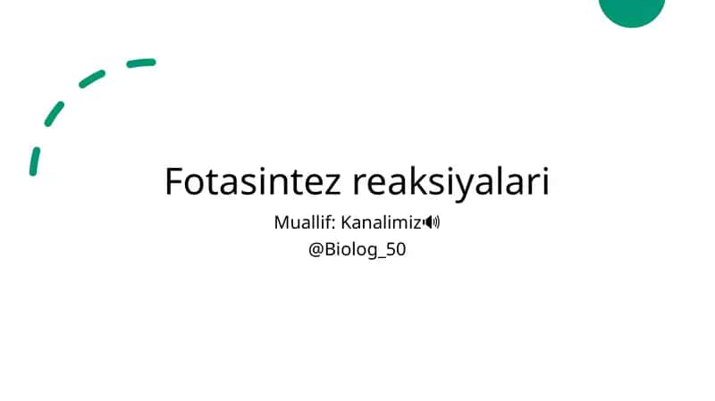 Fotasintez reaksiyalari
