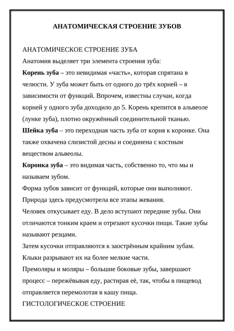 АНАТОМИЧЕСКОЕ СТРОЕНИЕ ЗУБОВ