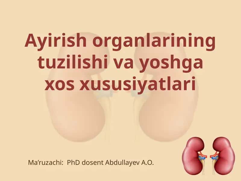 Ayirishorganlarining tuzilishi va yoshga xos xususiyatlari