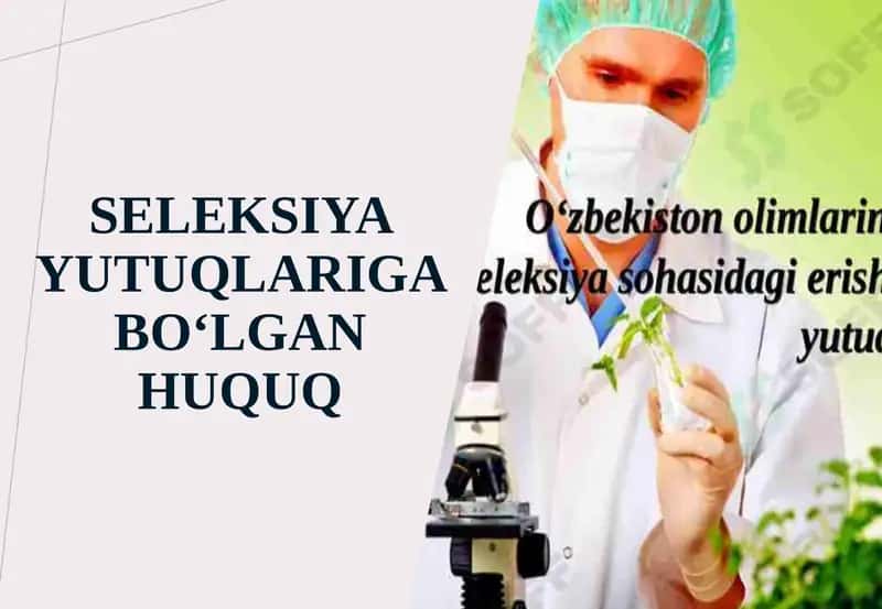 Seleksiya  yutuqlariga  bo‘lgan  huquq 1