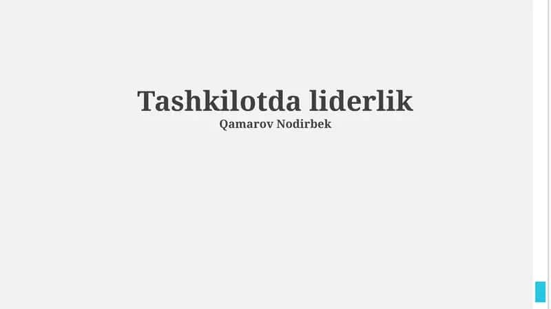 Tashkilotda liderlik