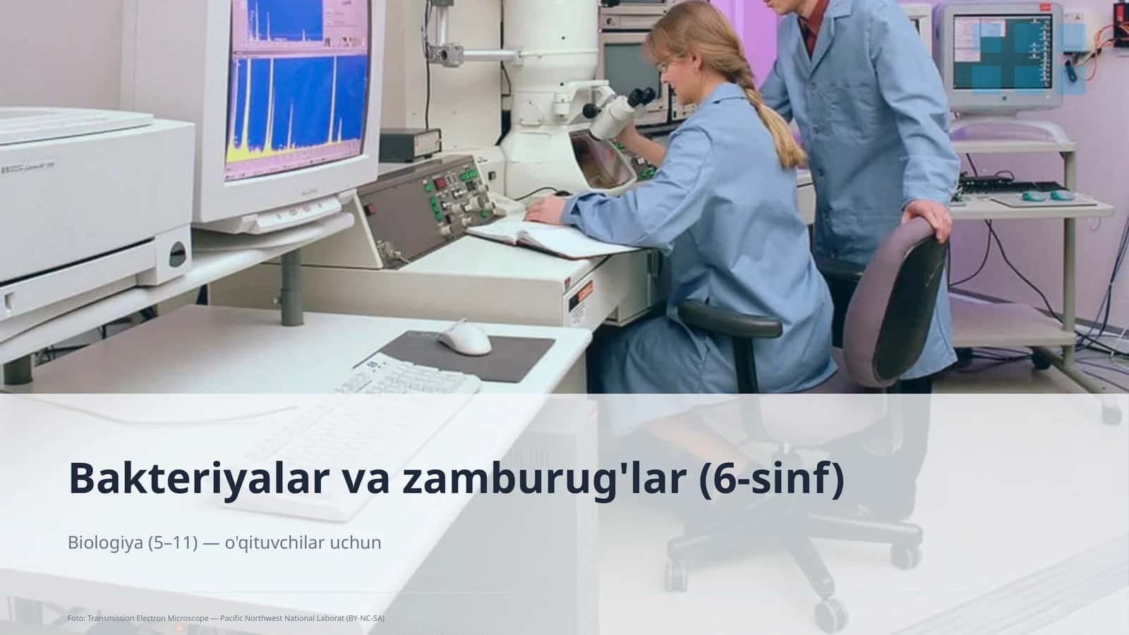 Bakteriyalar va zamburug'lar (6-sinf)