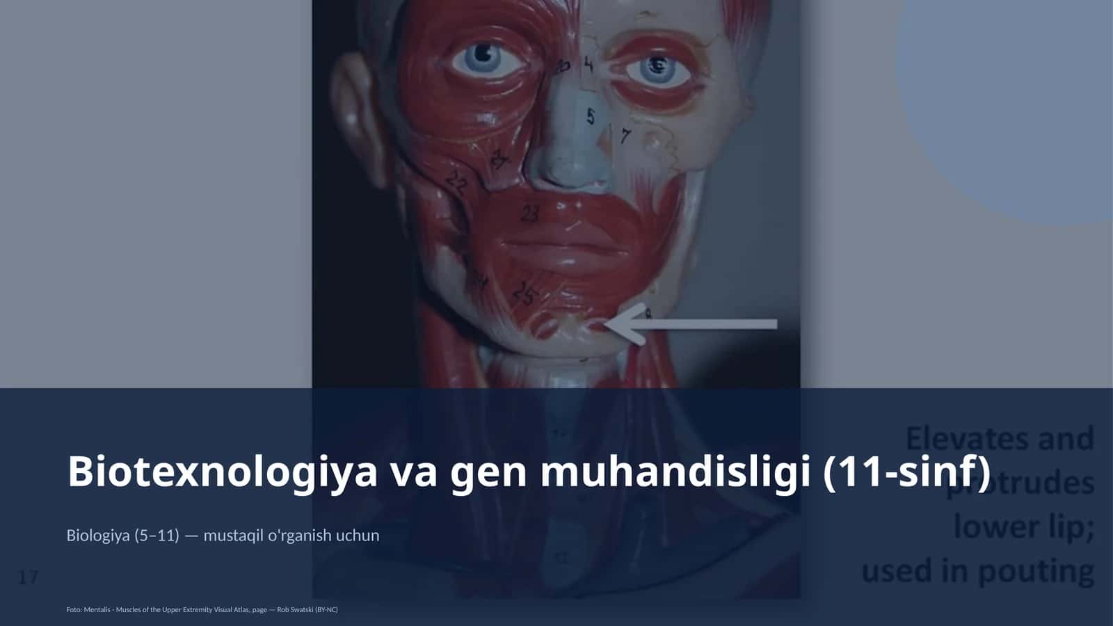 Biotexnologiya va gen muhandisligi (11-sinf)