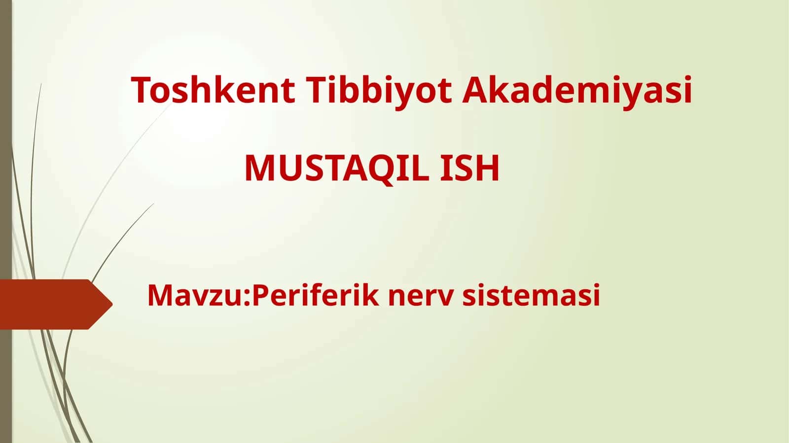 Periferik nerv sistemasi