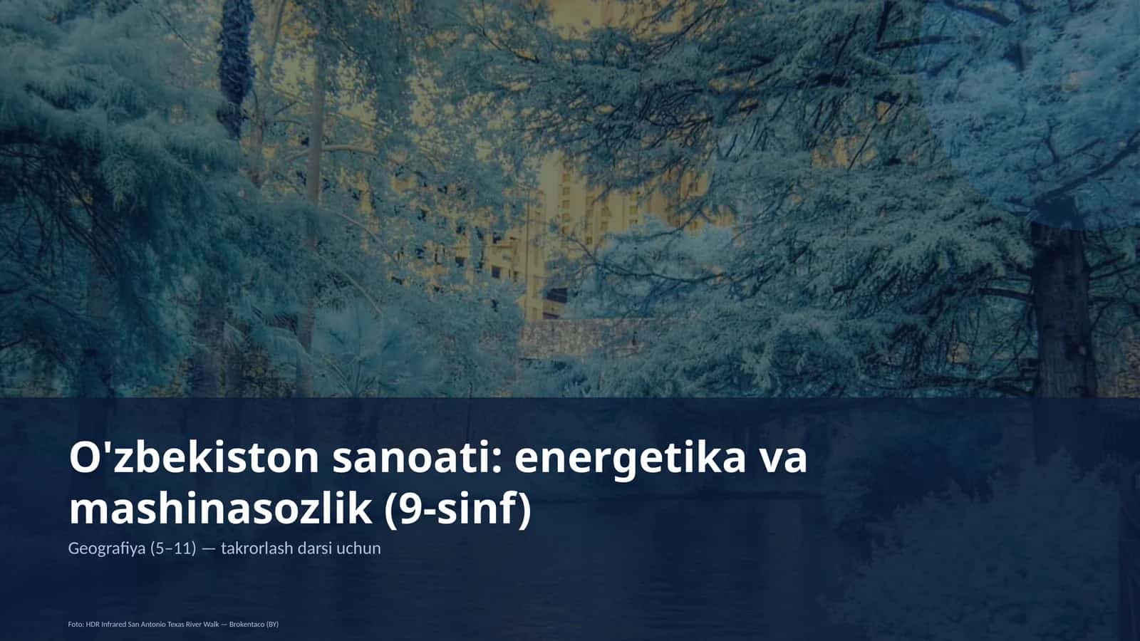 O'zbekiston sanoati: energetika va mashinasozlik (9-sinf)