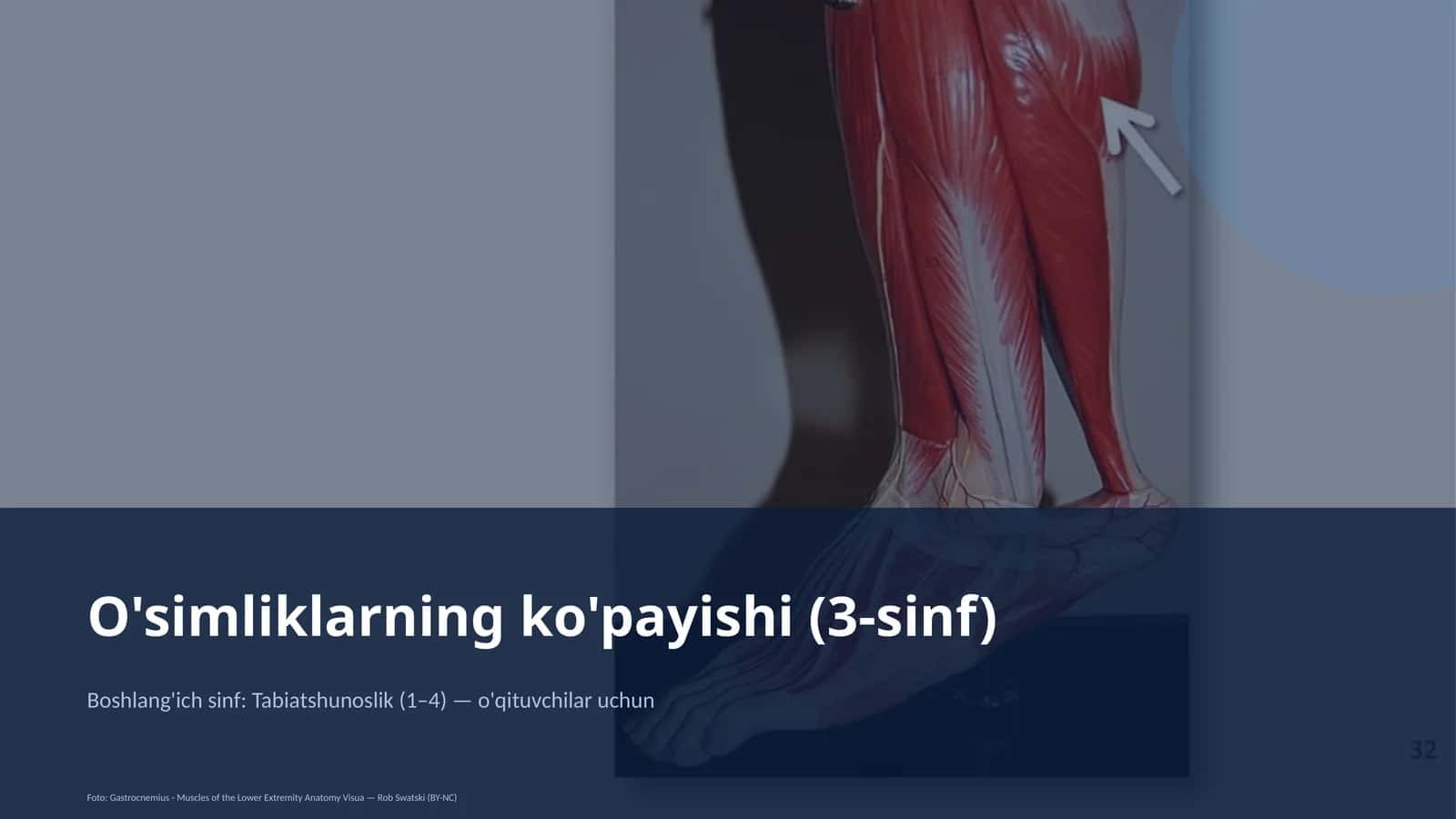 O'simliklarning ko'payishi (3-sinf)