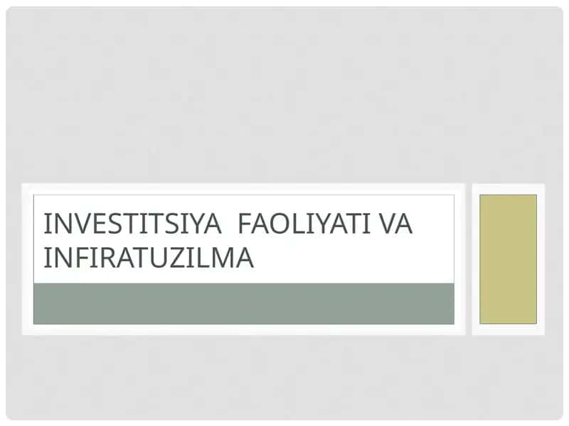 Investitsiya faoliyat va Infiratuzilma