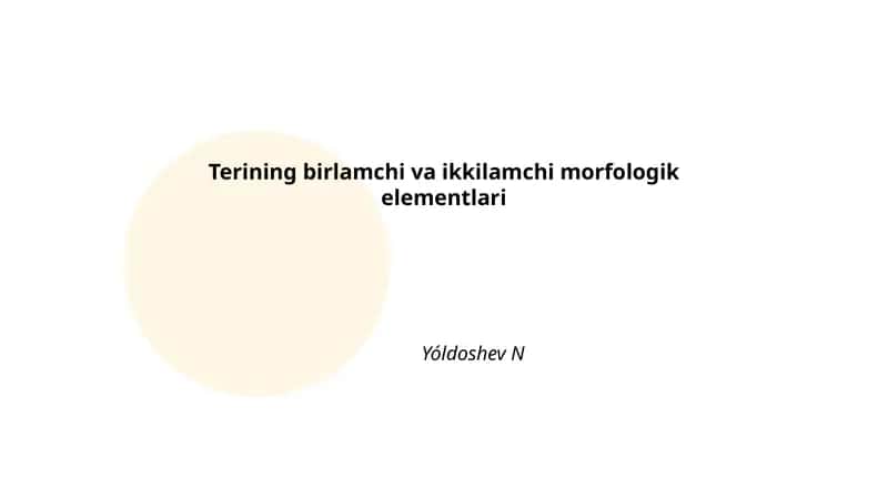 Terining birlamchi va ikkilamchi morfologik elementlari