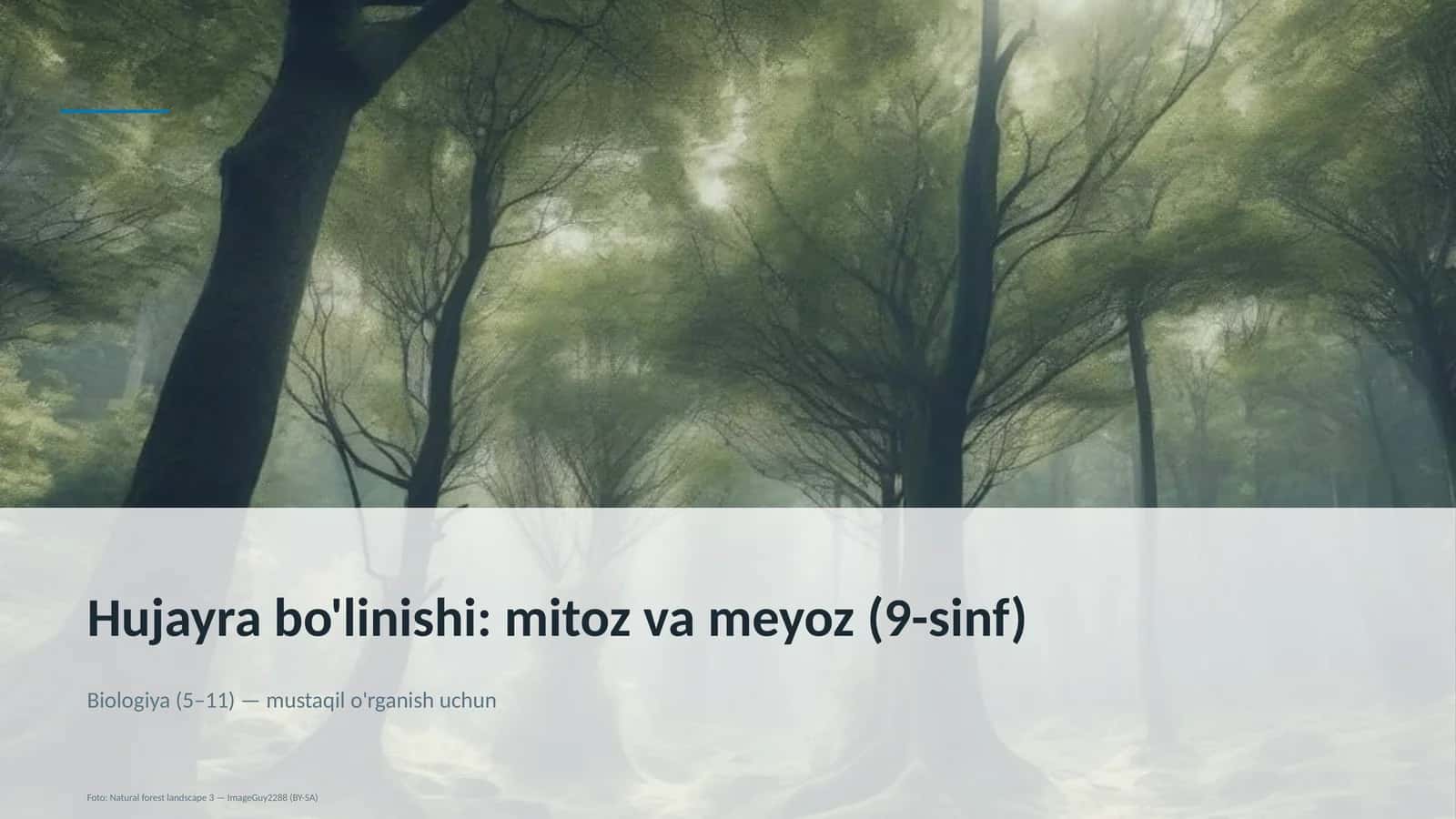 Hujayra bo'linishi: mitoz va meyoz (9-sinf)