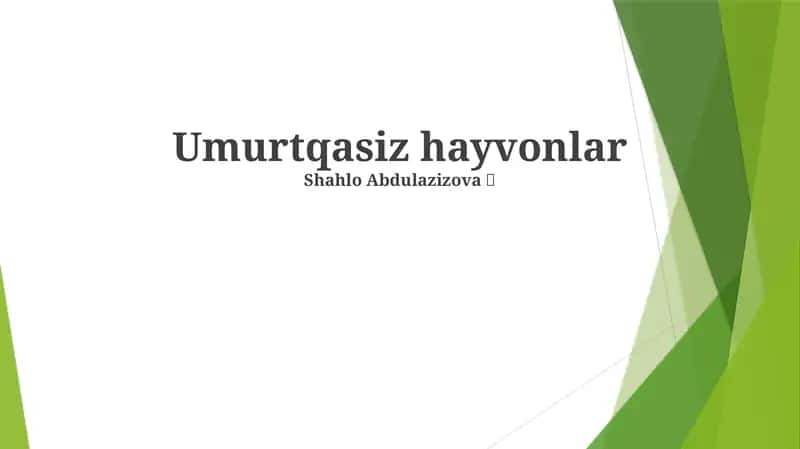 Umurtqasiz hayvonlar