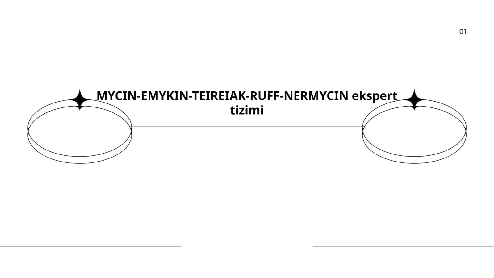 MYCIN-EMYKIN-TEIREIAK-RUFF-NERMYCIN ekspert tizimi