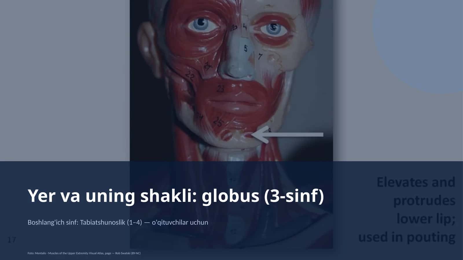 Globus (3-sinf)