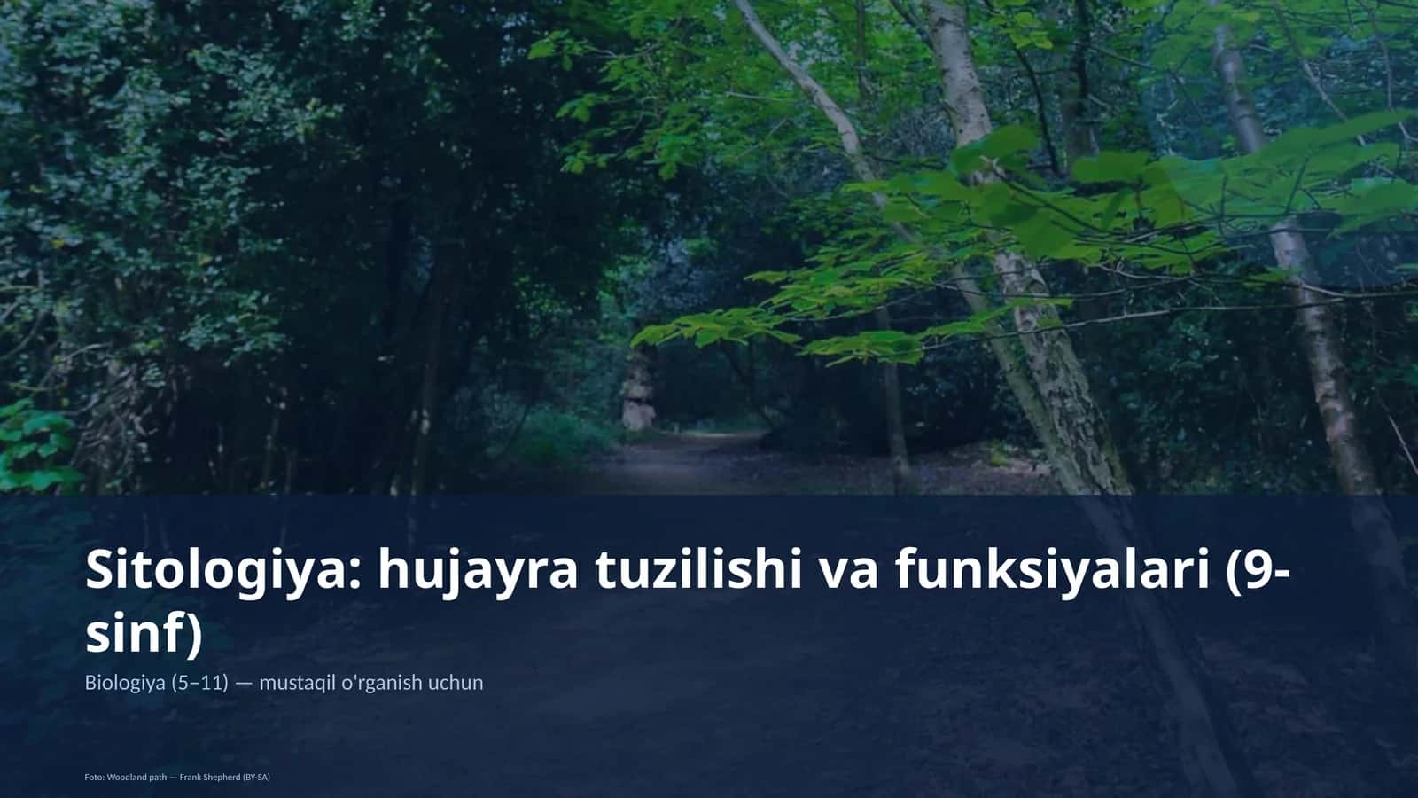 Sitologiya: hujayra tuzilishi va funksiyalari (9-sinf)