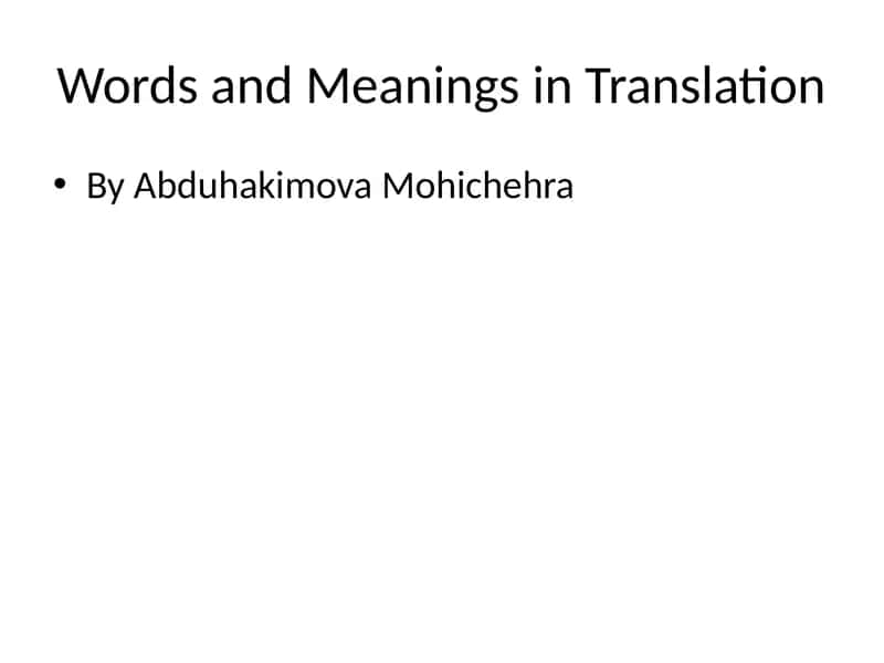 words and meanings in translation PPT