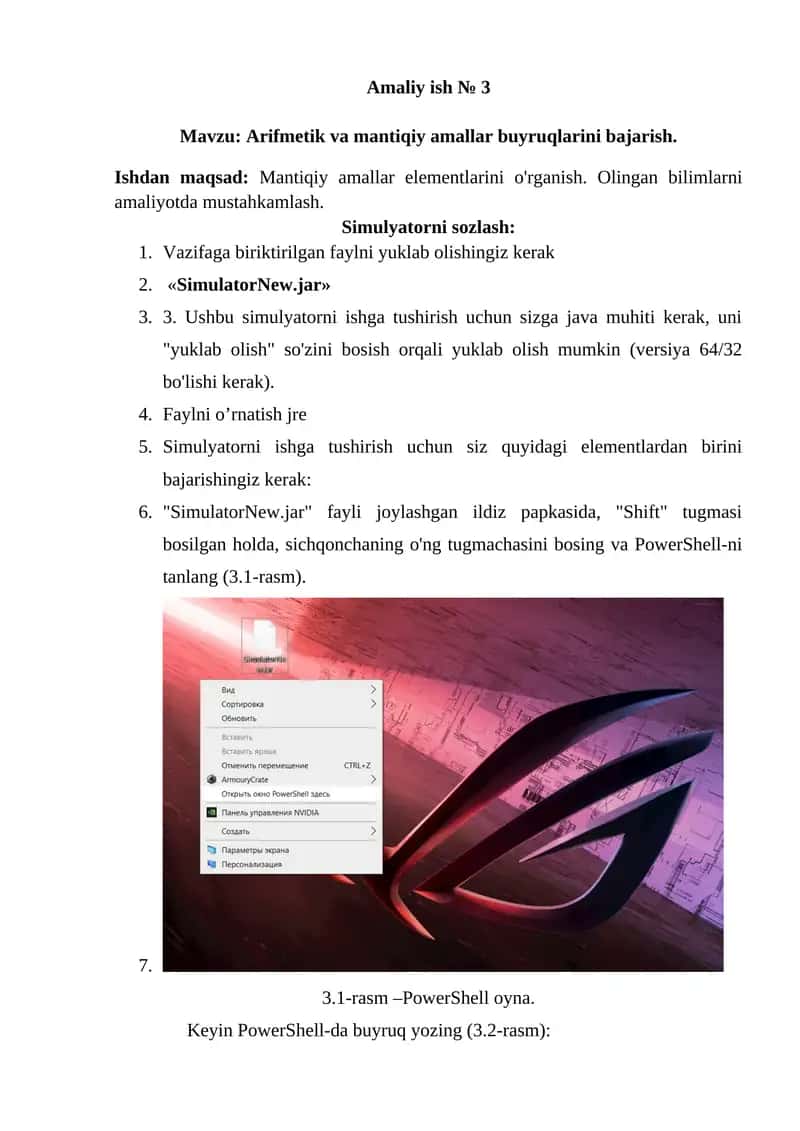 Arifmetik va mantiqiy amallar buyruqlarini bajarish