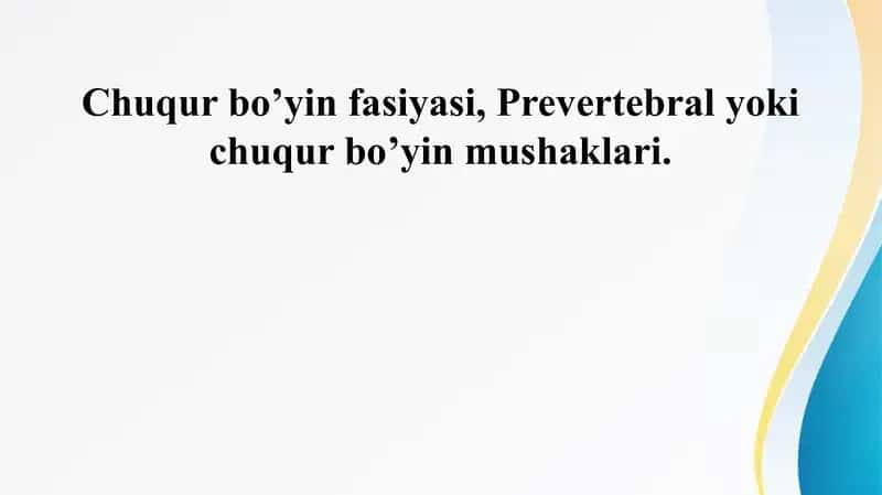 Chuqur bo’yin fasiyasi, Prevertebral yoki chuqur bo’yin mushaklari.