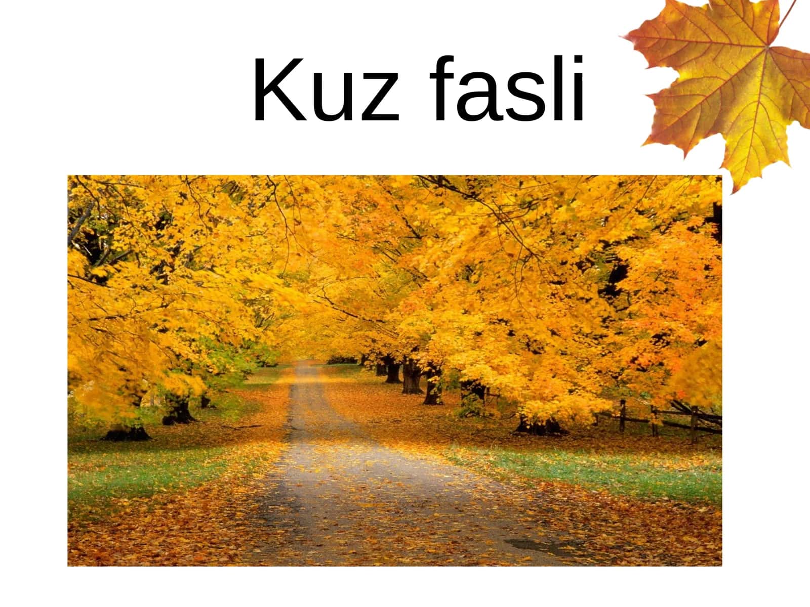 O'qish darslarida badiiy asarlarni o'rganish metodikasi ochiq dars ishlanmasi