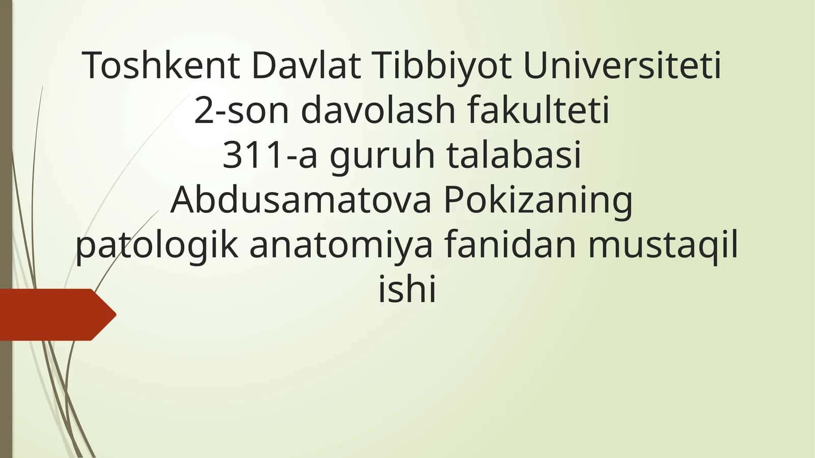 Plevra kasalliklari