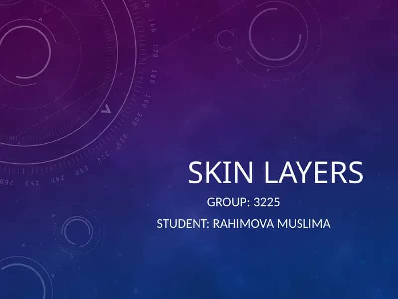 Skin Layers